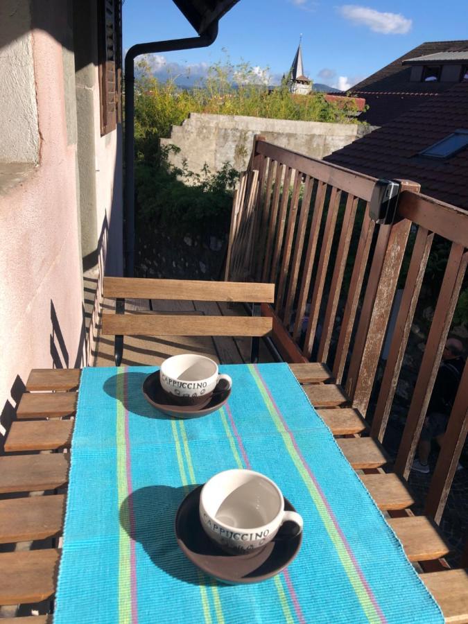 Appartement Dans La Vieille Ville, En Face Du Chateau آنسي المظهر الخارجي الصورة